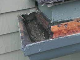 This home in Malden had damage to the fascia which is a common entry point for squirrels (before)