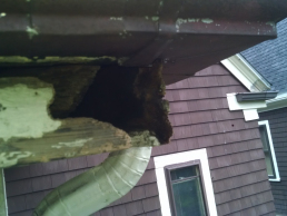 A squirrel entry point in a soffit. (Before)