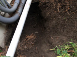 Critter Control was called to a home in Cambridge, MA to inspect where rats may have been coming into the home.  We were able to identify the entry points and seal off the area. (before)