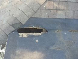 A customer called us from Belmont to remove a family of raccoons living in their roof/crawlspace.  Upon inspection of the home we found their entry point in the rubber roof of the customers home.