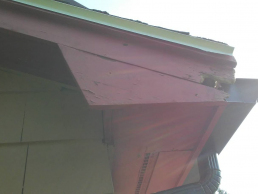 Squirrels chewed their way into the trim of this home in Billerica.  We removed the animals and sealed up the entry point as well painted the repair to match the Trim (Before)