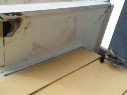 Squirrels chewed a hole through the gable eave return in Medford, MA (Before)