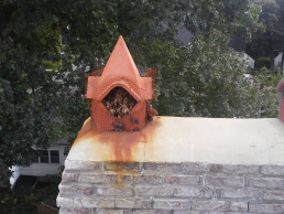 Squirrels in were nesting in this chimney.  We evicted, cleaned out the nesting material and screened it off.  (Before)