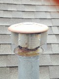 Bird Exclusion from heating vent pipes