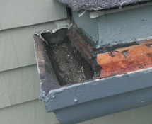 This home in Malden had damage to the fascia which is a common entry point for squirrels (before)