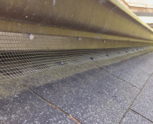 Squirrels were making their way into a customers car port, through this small opening.  We were able to trap, remove, and seal off the area to prevent further entry of critters.  Chelmsford, MA