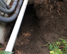 Critter Control was called to a home in Cambridge, MA to inspect where rats may have been coming into the home.  We were able to identify the entry points and seal off the area. (before)