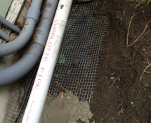 We used  concrete and reinforced with hardware cloth on 2 levels to prevent rats from digging underground and entering home!  . (During)
