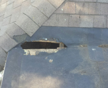 A customer called us from Belmont to remove a family of raccoons living in their roof/crawlspace.  Upon inspection of the home we found their entry point in the rubber roof of the customers home.