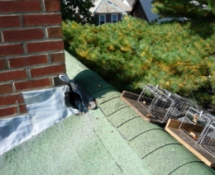 Squirrel trapping and removal at entry point on a home in Somerville MA