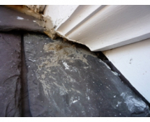Bat entry gap in a Newton MA home