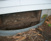 Skunk Entry Point