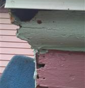 Squirrels chewed a hole in the trim of a home in Andover, MA (before)