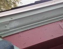 We were able to remove the animals, monitor the hole and repair the entry point (after)