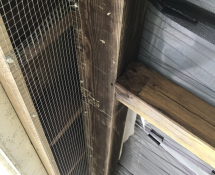 Birds were nesting on the rafters of this back porch in Dorchester.  We removed the nests, evicted the birds and screened off the entry points.