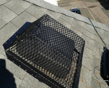 Birds evicted and Roof Vent covered with a preventative guard (After)