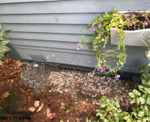 Hammered in Underground fence along a foundation with a one way door to evict the skunk living under the home