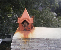 Squirrels in were nesting in this chimney.  We evicted, cleaned out the nesting material and screened it off.  (Before)