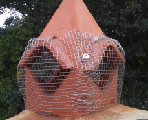 Squirrels in were nesting in this chimney.  We evicted, cleaned out the nesting material and screened it off.  (After)