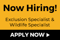Now Hiring. Exclusion Specialist & Wildlife Specialist. Apply Now