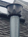Keeping Birds Out of Furnace in Newton Mass