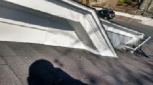 Boston Animal Damage Repair