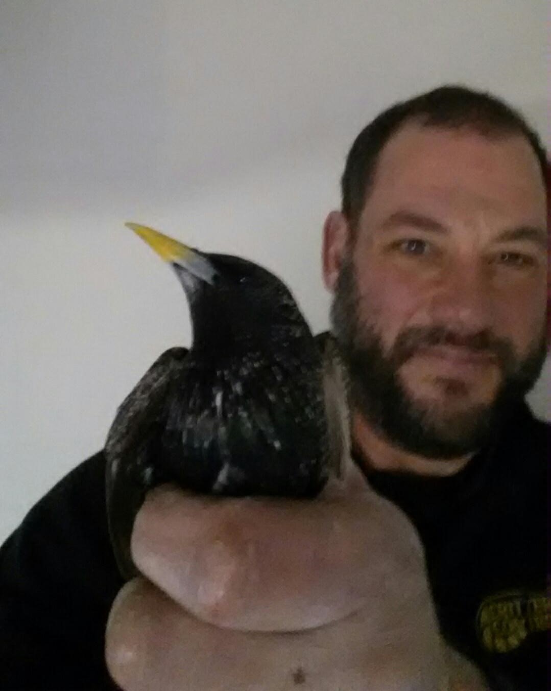 bird rescue in Cambridge Massachusetts