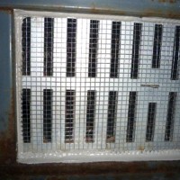 After Mice Exclusion Mice Control and Exclusion 7