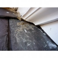 Bat entry gap in a Newton MA home Bats 2