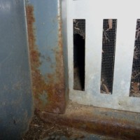 Before Mice Exclusion Mice Control and Exclusion 6