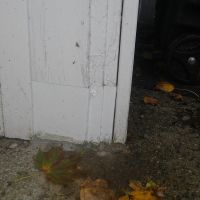 Mice were gaining access into a garage in Wilmington, MA. We sealed off the rotted entrance with some Metal and Mortar. (After)