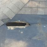 A customer called us from Belmont to remove a family of raccoons living in their roof/crawlspace. Upon inspection of the home we found their entry point in the rubber roof of the customers home.