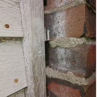 Mice were entering this home in Newton, MA through a gap in the brick siding (Before) Mice Control and Exclusion 1