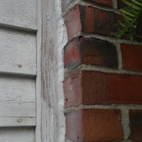 We sealed the gap in the brick siding where the mice were entering, blocking their entrance (After) Mice Control and Exclusion 2