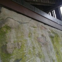 Mice Entry points along the foundation (Before) Mice Control and Exclusion 8