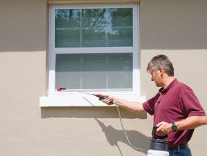 The Risks of DIY Pest Removal